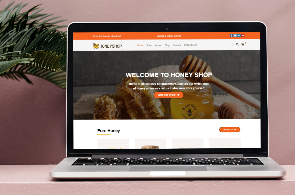 Free Healthy Food WP Theme