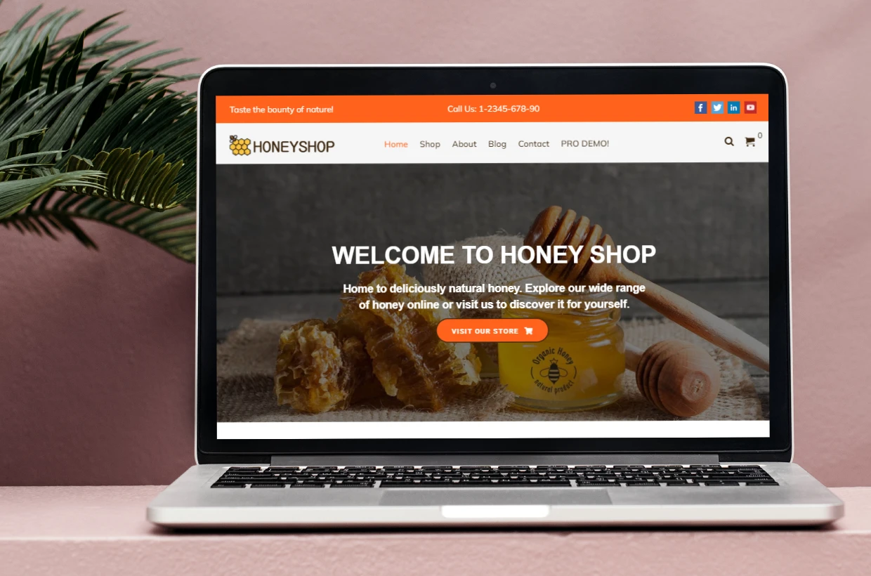 Free Healthy Food WP Theme