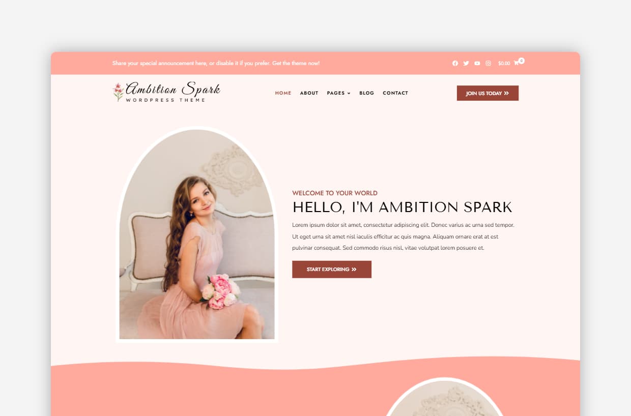 Ambition Spark – best WordPress theme for portfolio