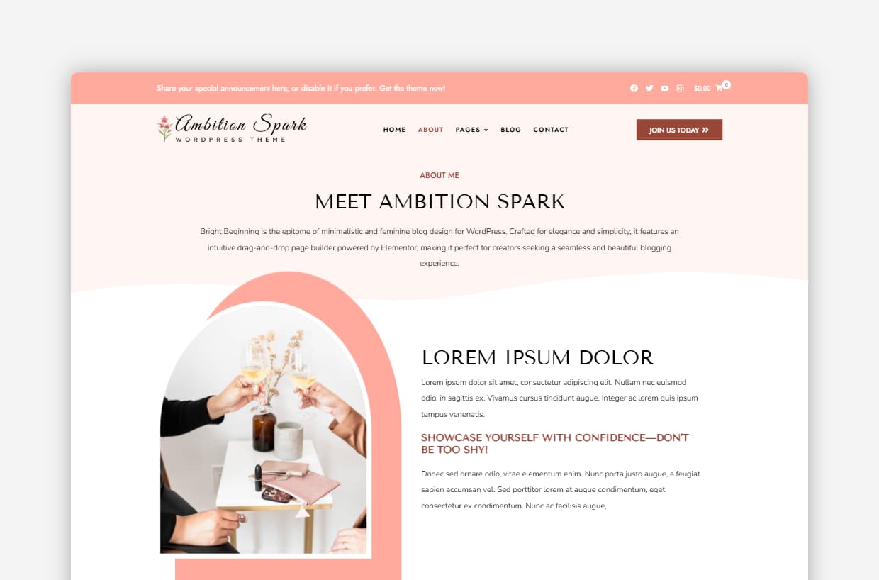 Portfolio WP Theme