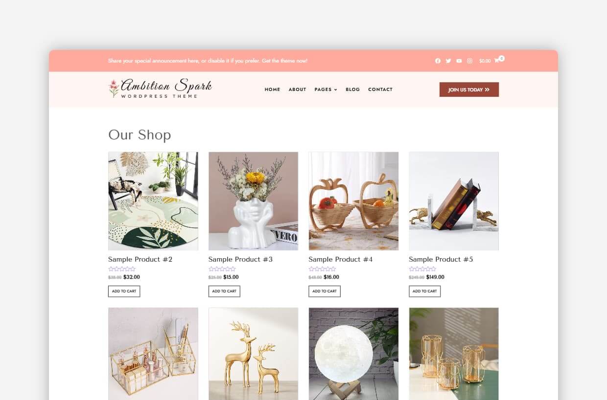 Trendy Fashion WP Theme