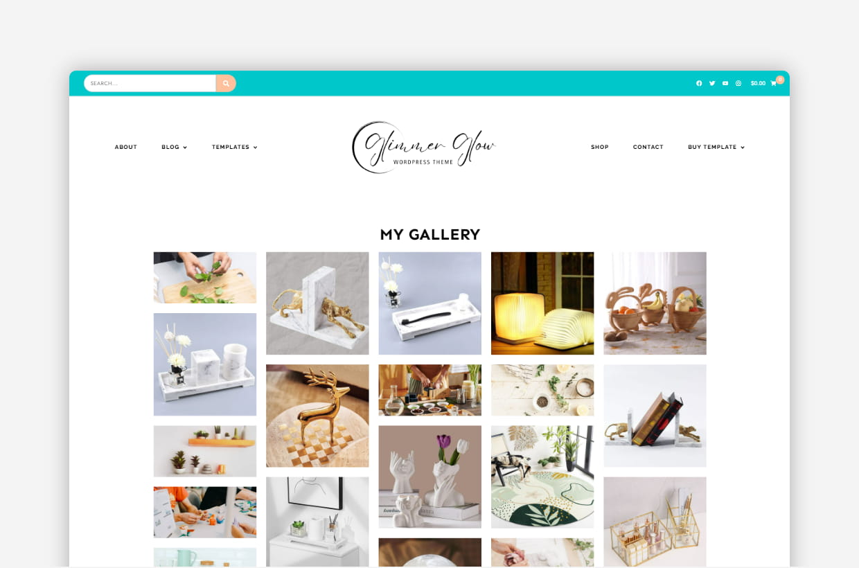 premium responsive wp theme