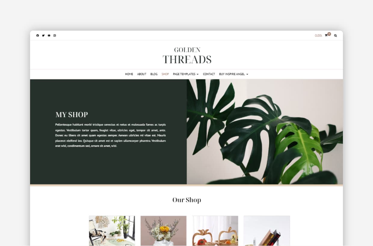 wellness WordPress Theme