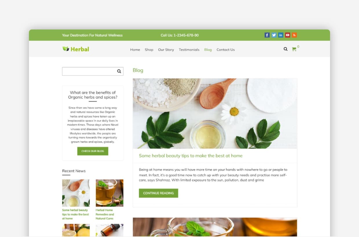 Organic Shop WordPress Theme