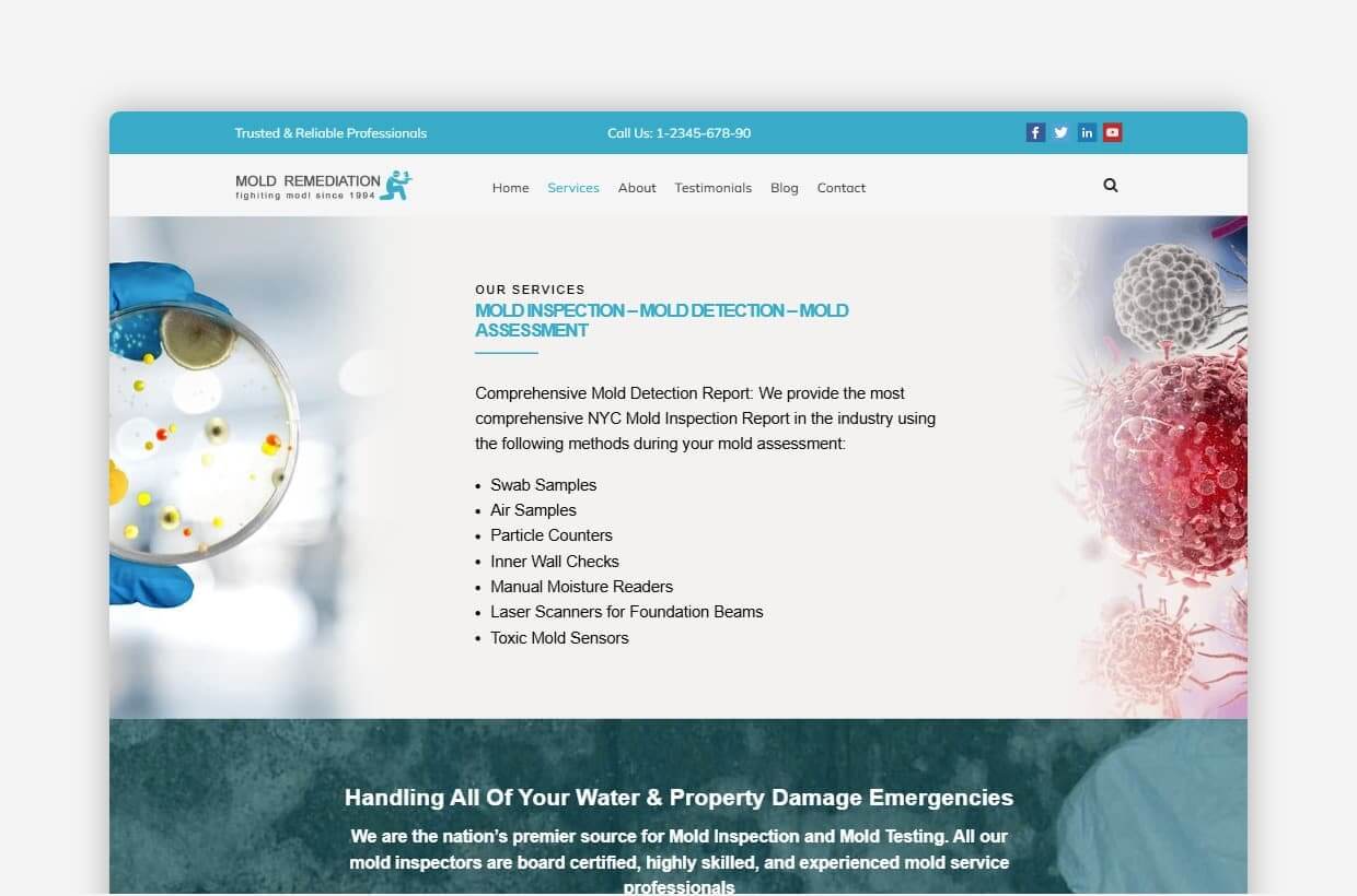 Mold Remediation WP Theme