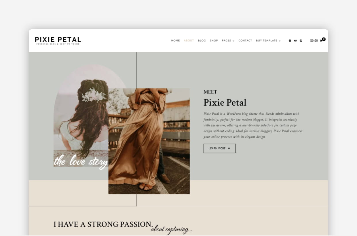 premium responsive wordpress theme