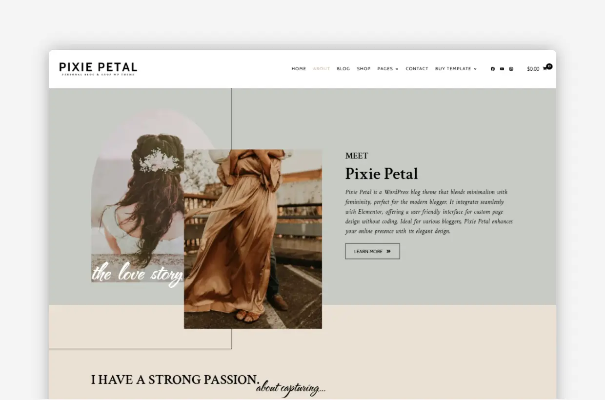 premium responsive wordpress theme