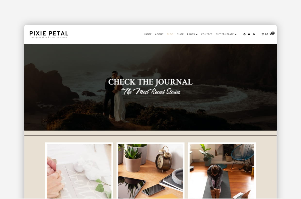 premium blog & shop wp theme