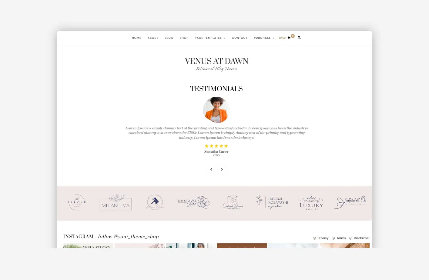 premium lifestyle bloggers wordpress theme